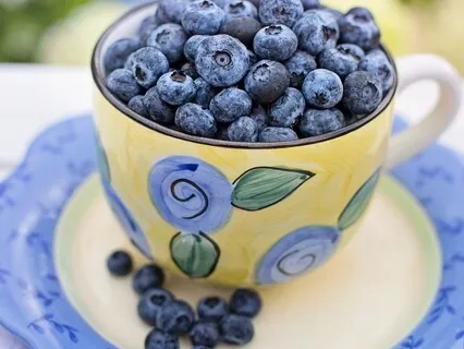 Diet Talk - Why People Regain Lost Weight