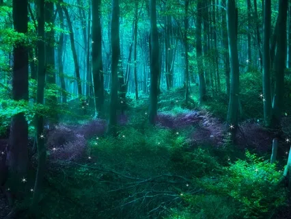 Детская исцеляющая медитация "Волшебный лес"