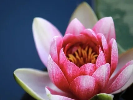 Different Narcissistic Mothers & How To Start Healing