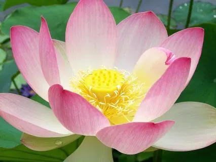 Difficult Emotions: Strength And Freedom From "Shoulds"