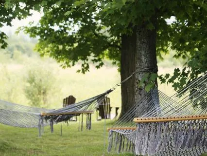 Digital Detox And Reconnection