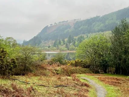 Digital Detox | Breathwork To Reclaim Focus & Energy