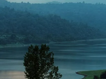 Digital Detox: Restorative Sleep Journey