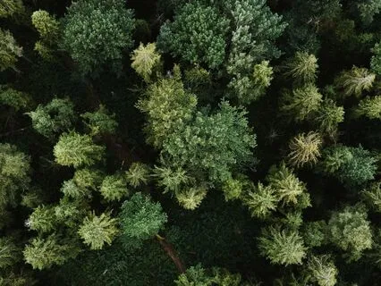 Digital Space Clearing Ceremony