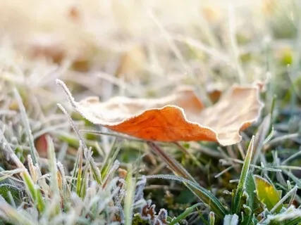 Дихання Наді-Шодхана для повернення ресурсу за 7 хв