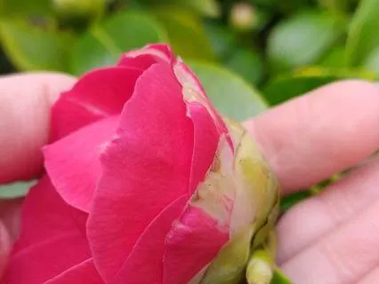 Dikt: Var Är Kärleken? | Hjärtats Kraft