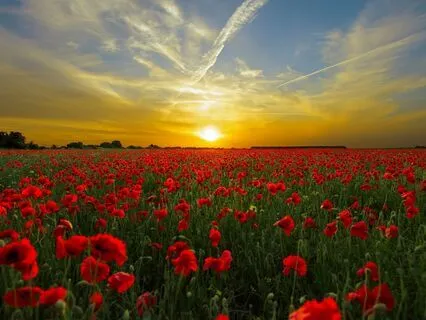 Dimensional Serenade