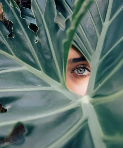 Diminish Distractions And Improve Concentration