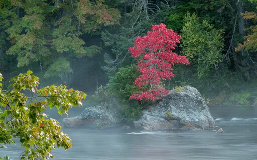 Direct Perception And Presence