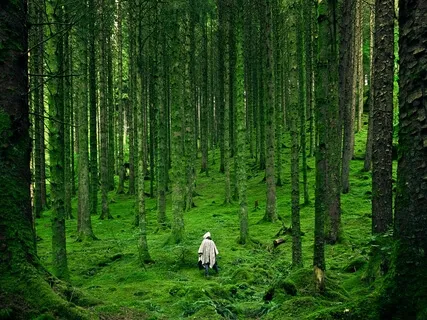 Direct, Simple, And Short Guided Meditation