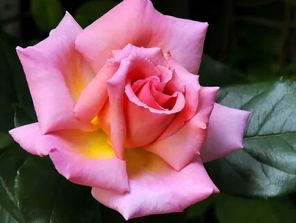 Directing Compassion to Yourself, Part 1