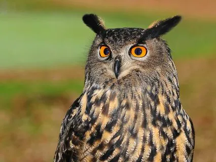 Discernment - A Mindful Jewish Moment