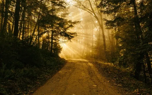 Discipline Births Freedom