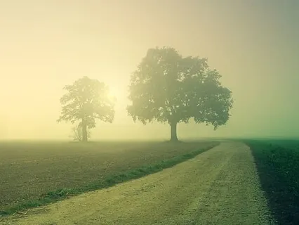 Discipline: How To Achieve It