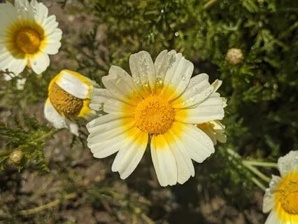 Discipline | Mindful Motivation