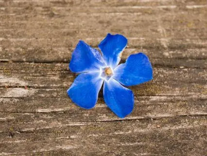 Disconnect From Your Mind And Reconnect With Your Body