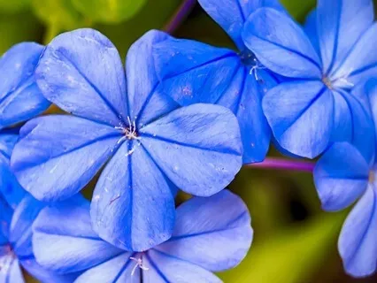 Parent And Child Reconnection