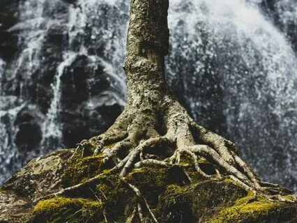 Discover & Release The Root Cause Of Your Suffering