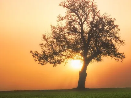 Discover The Ground Of Being