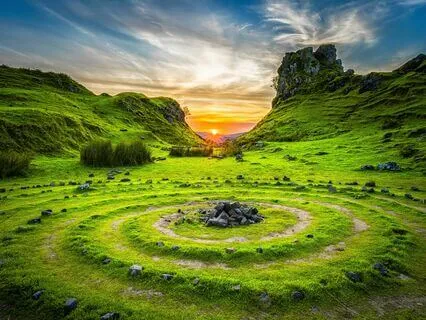 Discover The Spiritual Power Of The Wombat