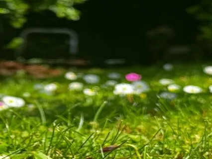 Discover The Transformative Power Of Yoga Nidra