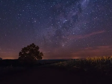 The Universe Within You