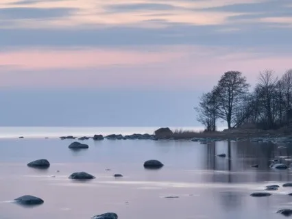 Discover The Wisdom Of Silence - 5 Minute Daily Insight