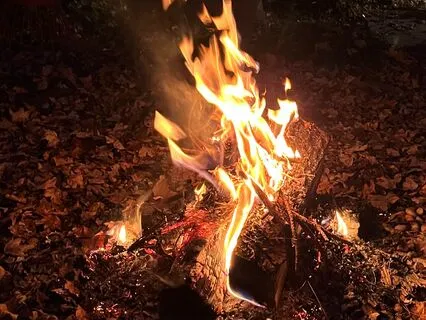 Discover Your Essence Yoga Nidra