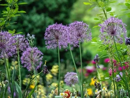 Discover Your Gift for Today