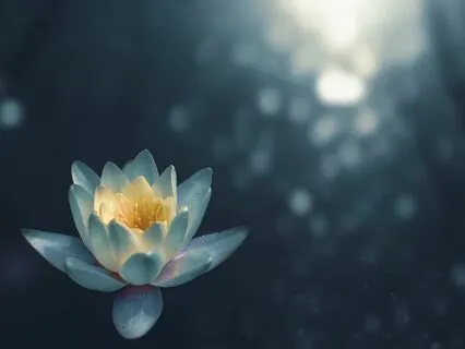 Discover Your Inner Bliss