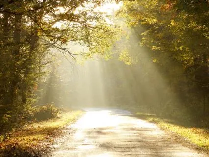 Discover Your Life's Purpose