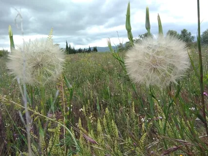 Discover Your Mind - A Simple Meditation In 3 Parts - Part3