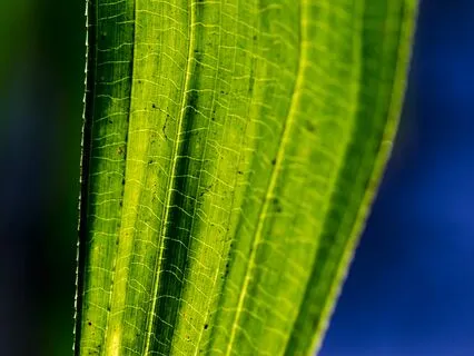 Discover Your Soul's Contract And Agreement