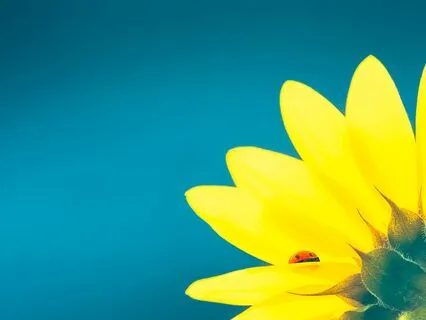 Discover Your True Self ~ A Practical & Compassionate Guide