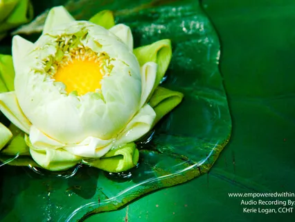 Discovering Beauty Around You