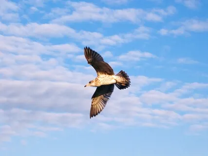 Discovering Healthy Boundaries