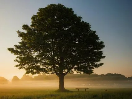 Discovering Impermanence