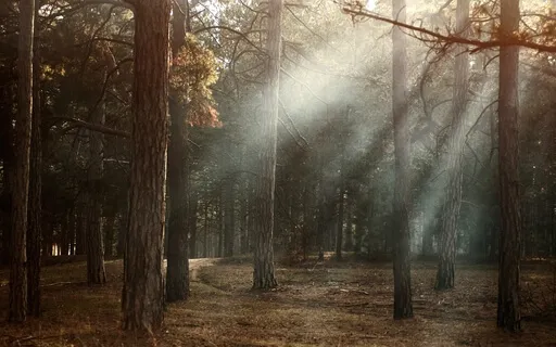 Discovering Inner Peace With Om