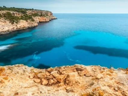 Discovering Life's Purpose Beyond Healing: Why Are You Here?