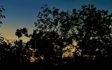 Discovering Loving Kindness Inside