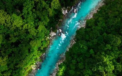 Discovering Purpose: Honoring Your Life Journey Meditation