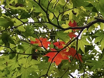 Discovering Stillness