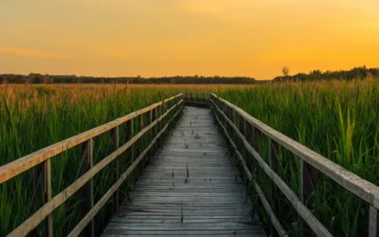 Discovering The Gifts Within Our Shadows