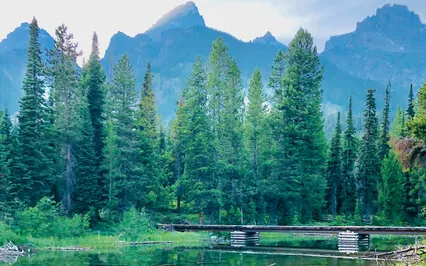 Discovering The Peace Within