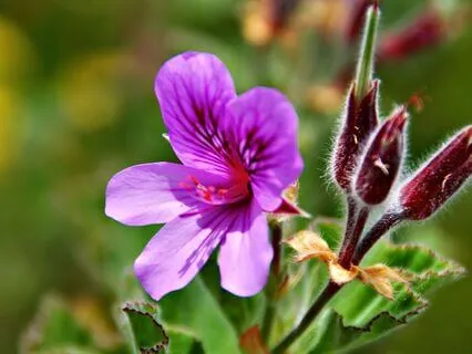 Discovering Your Soul’s Gift