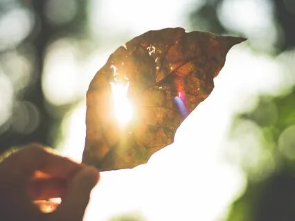 Discovering Your True Self I Am Presence Beyond The Ego