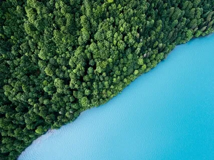 Discovery: Mindful Breathing