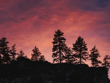 Discovery: Renewal Breath