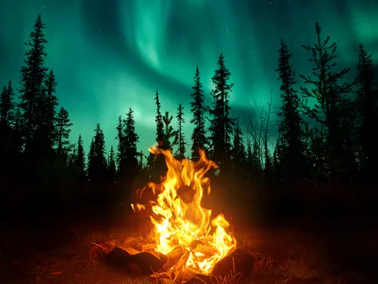 Discovery: Wild Sounds