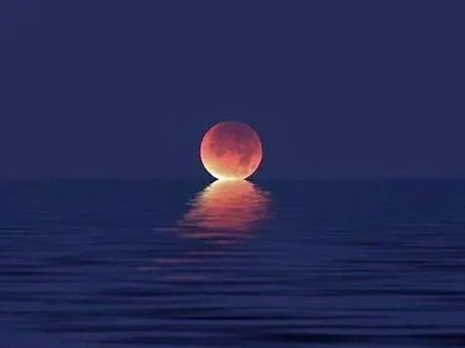 Discriminate Between The Individual And Blissful Self